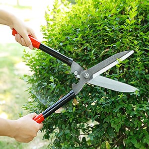 Kéo cắt hàng rào