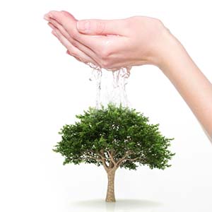 Thiết bị tưới