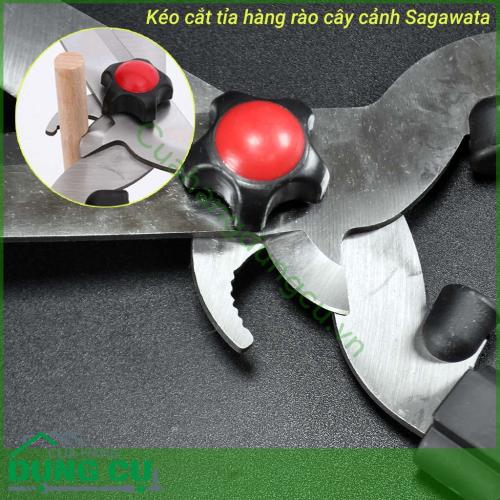 Kéo cắt tỉa hàng rào cây cảnh có tăng