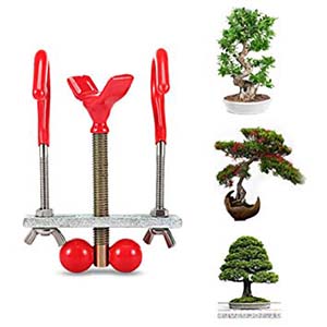Dụng cụ định hình
