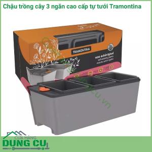 Chậu cây tự tưới 3 ngăn cao cấp Tramontina