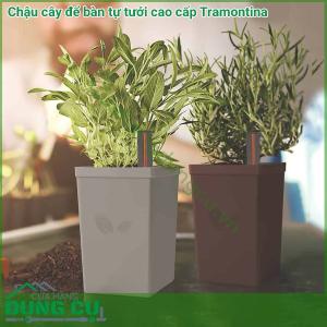 Chậu cây để bàn tự tưới cao cấp Tramontina